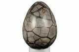 9.2" Septarian "Dragon Egg" Geode - Removable Section - #203829-1